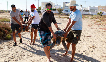 Scientists carry sea turtles before releasing them into the sea on May 21, 2022, in the Tunisian coastal city of Sfax, Tunis. 