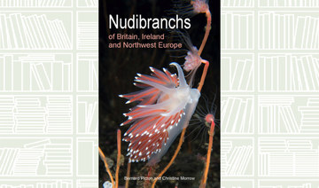 What We Are Reading Today: Nudibranchs of Britain, Ireland and Northwest Europe