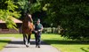 Courage Mon Ami win gives Frankel hattrick, adds to Arab glory at Royal Ascot